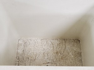 Thumbnail image of Job Lot of Laboratory Cool Boxes