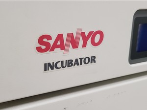 Thumbnail image of Sanyo MIR-154 Floor Standing Incubator