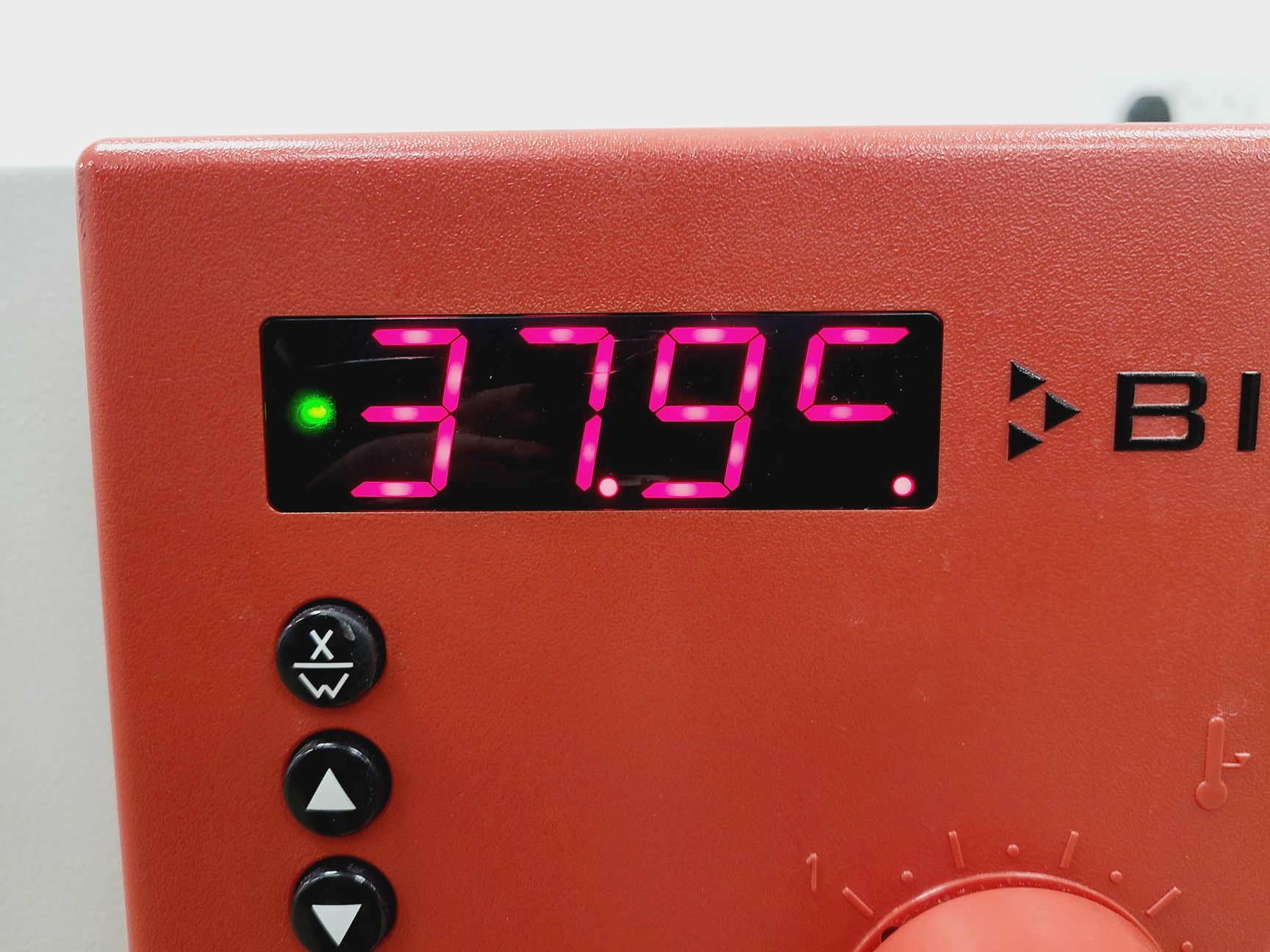 Image of Binder BF 240 Forced Convection Incubator