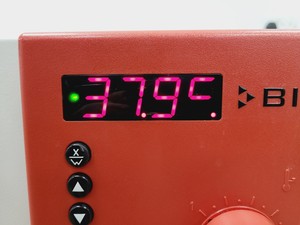 Thumbnail image of Binder BF 240 Forced Convection Incubator
