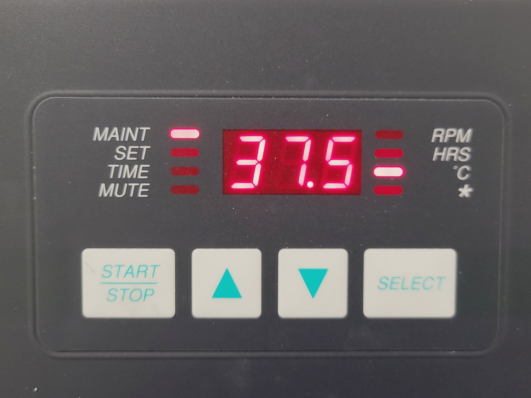 Image of New Brunswick Scientific Innova 4300 Shaking Incubator Lab