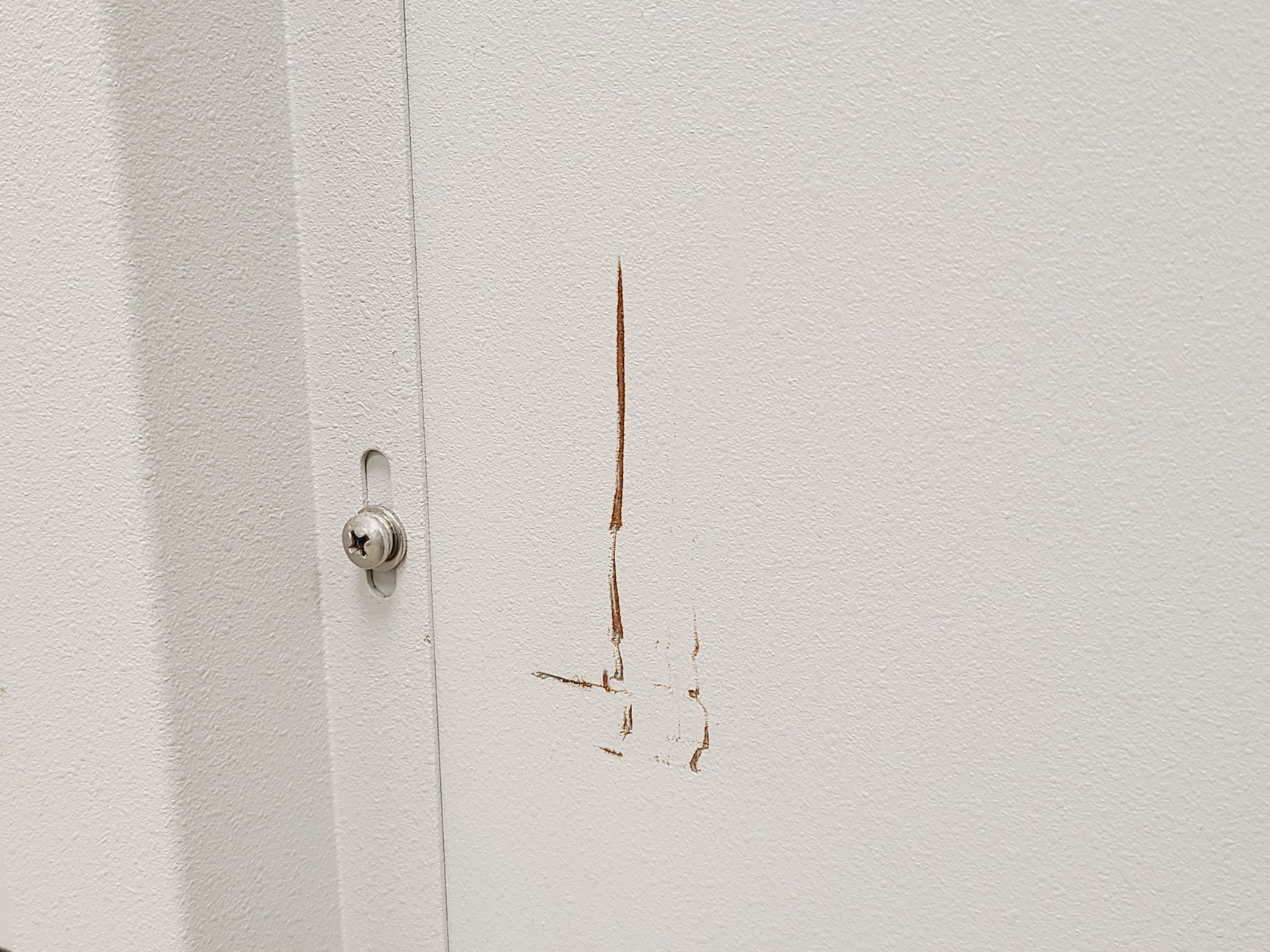 Image of New Brunswick Scientific Innova 4300 Shaking Incubator Lab