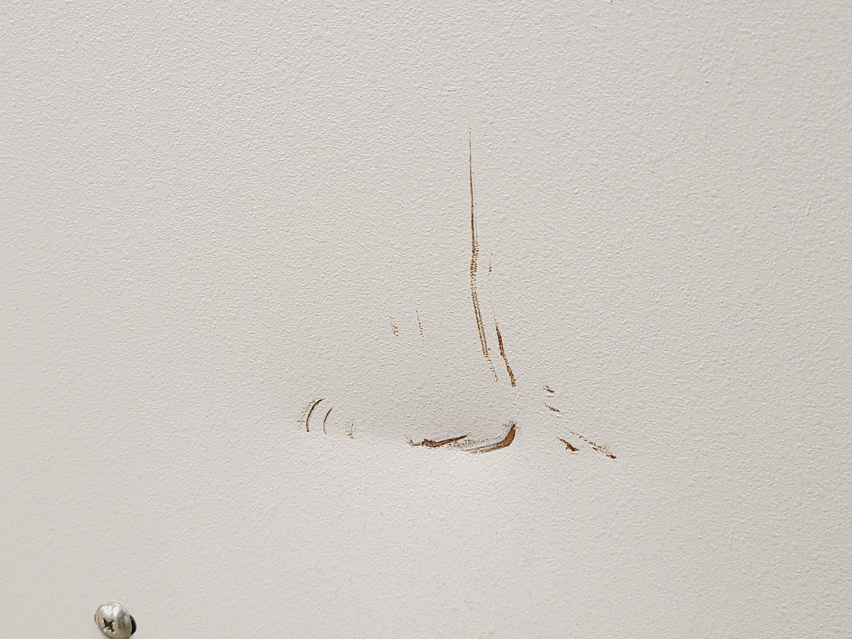 Image of New Brunswick Scientific Innova 4300 Shaking Incubator Lab