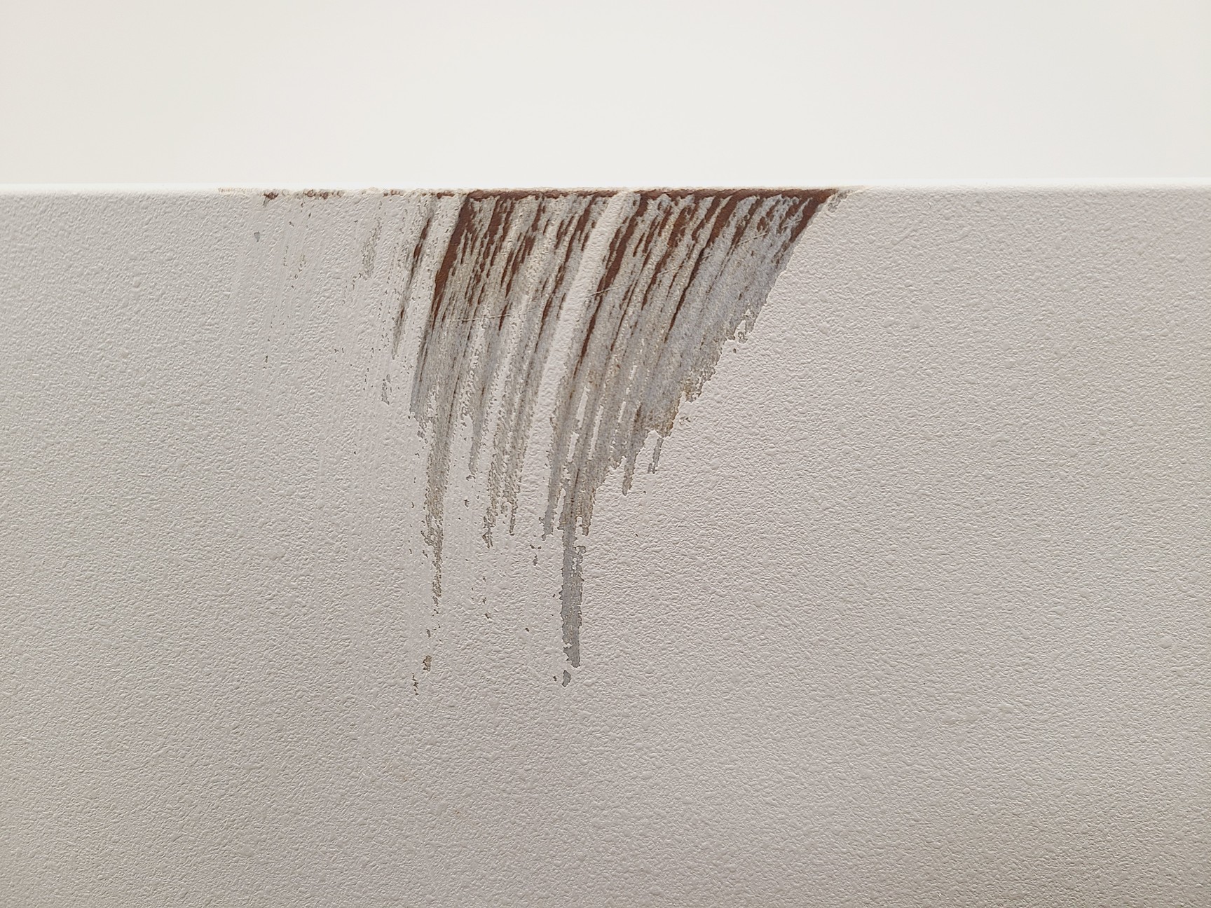 Image of New Brunswick Scientific Innova 4300 Shaking Incubator Lab