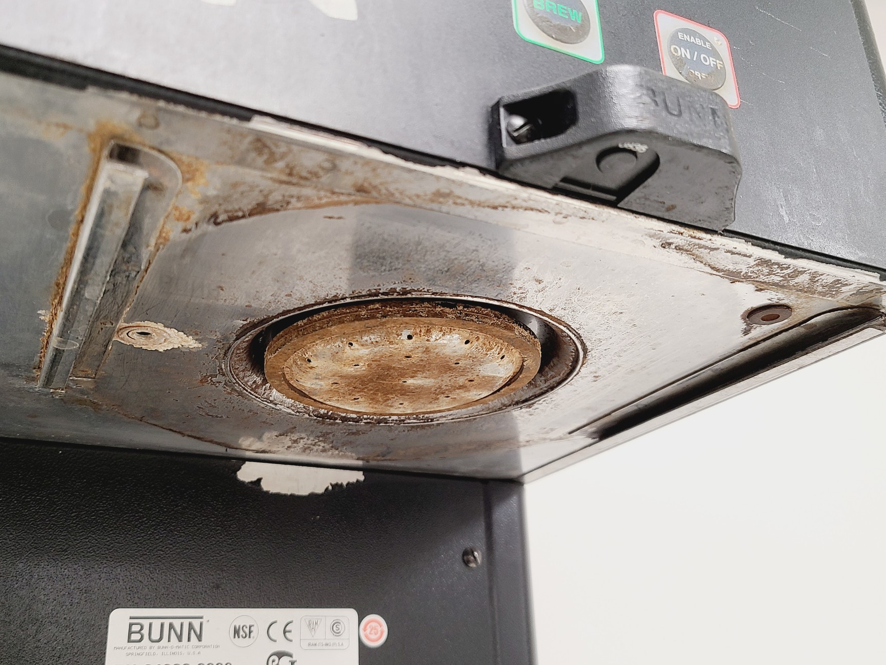 Image of Bunn SINGLE TF DBC BrewWISE Coffee Brewer