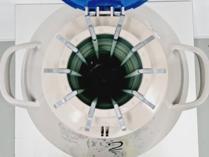 Thumbnail image of Taylor-Wharton 35 HC Liquid Nitrogen Dewar