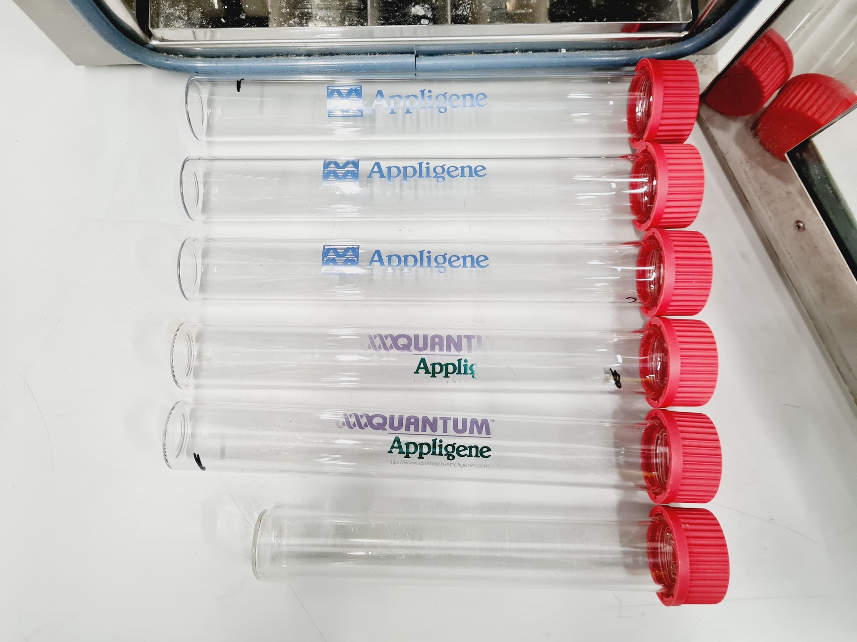 Image of Appligene Mini Four A Hybridation Oven