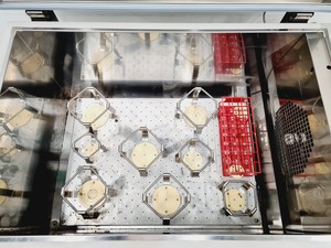 Thumbnail image of Gallenkamp Orbital Incubator IOC400.XX2.C