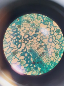 Thumbnail image of Carl Zeiss Axioplan 2 Imaging Microscope w/ 7 x Epiplan-Neofluar Objectives Lab