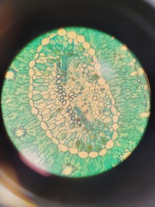 Thumbnail image of Carl Zeiss Axioplan 2 Imaging Microscope w/ 7 x Epiplan-Neofluar Objectives Lab