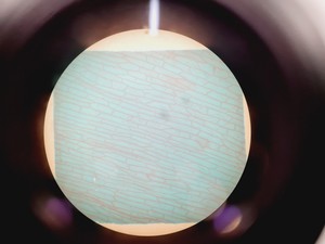 Thumbnail image of Leica DMIRB Inverted Microscope w/ 4 x Objectives 4x/10x/40x C Plan Lab