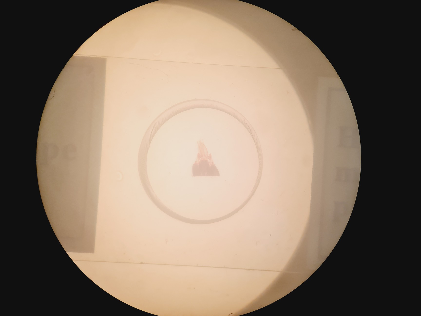 Image of Olympus SZH-ILLD Stereo Microscope Lab