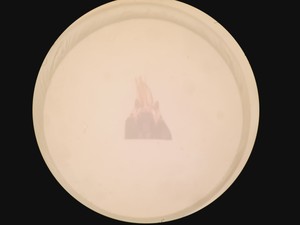 Thumbnail image of Olympus SZH-ILLD Stereo Microscope Lab