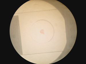 Thumbnail image of Olympus SZH-ILLD Stereo Microscope Lab