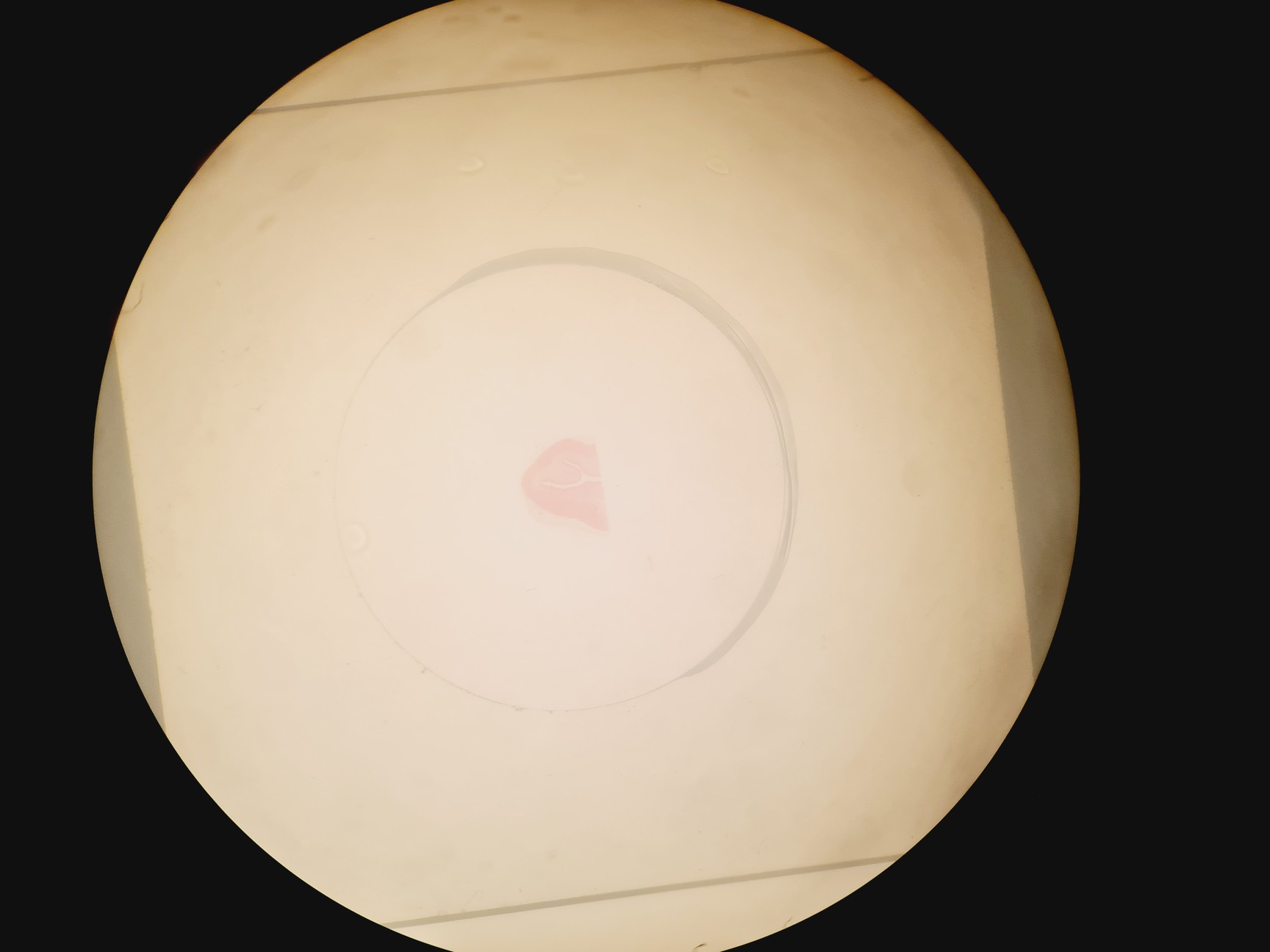 Image of Olympus SZH-ILLD Stereo Microscope Lab