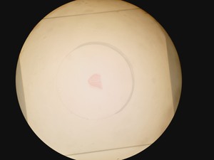 Thumbnail image of Olympus SZH-ILLD Stereo Microscope Lab