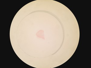 Thumbnail image of Olympus SZH-ILLD Stereo Microscope Lab