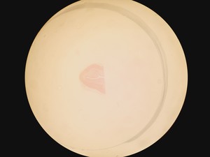 Thumbnail image of Olympus SZH-ILLD Stereo Microscope Lab