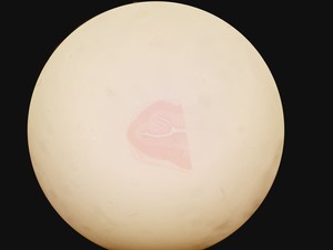 Thumbnail image of Olympus SZH-ILLD Stereo Microscope Lab