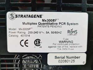 Thumbnail image of Stratagene Mx3005P Multiplex Quantitative PCR System