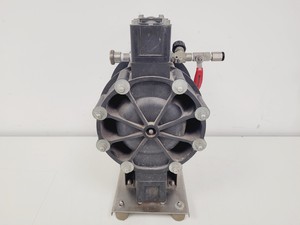 Thumbnail image of Stork Pumps P35-PNN Diaphragm Pump