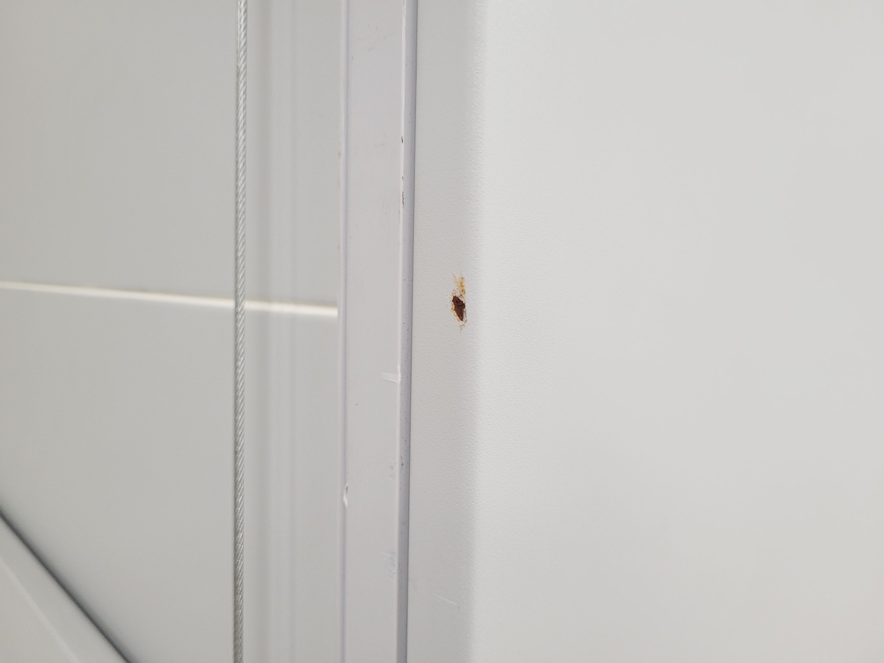 Image of Haier HR1200-II A2 Class II Safety Cabinet 