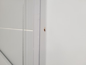 Thumbnail image of Haier HR1200-II A2 Class II Safety Cabinet 