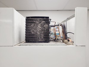 Thumbnail image of Percival Scientific I-36LLVL Growth Chamber