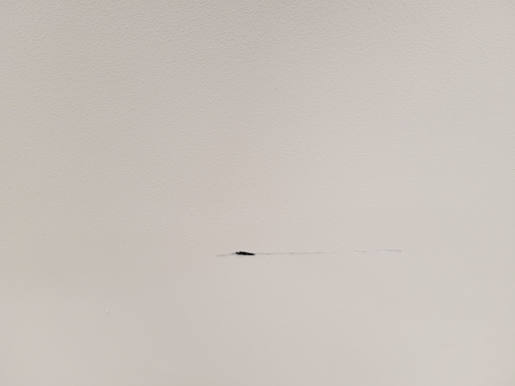 Image of Beckman Coulter J6-HC Floor Standing Centrifuge w/ JS-4.2 Rotor & 6 x Bucket Lab