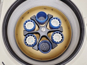 Thumbnail image of Beckman Coulter J6-HC Floor Standing Centrifuge w/ JS-4.2 Rotor & 6 x Bucket Lab