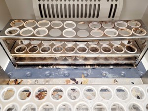 Thumbnail image of New Brunswick Scientific C24 incubator shaker