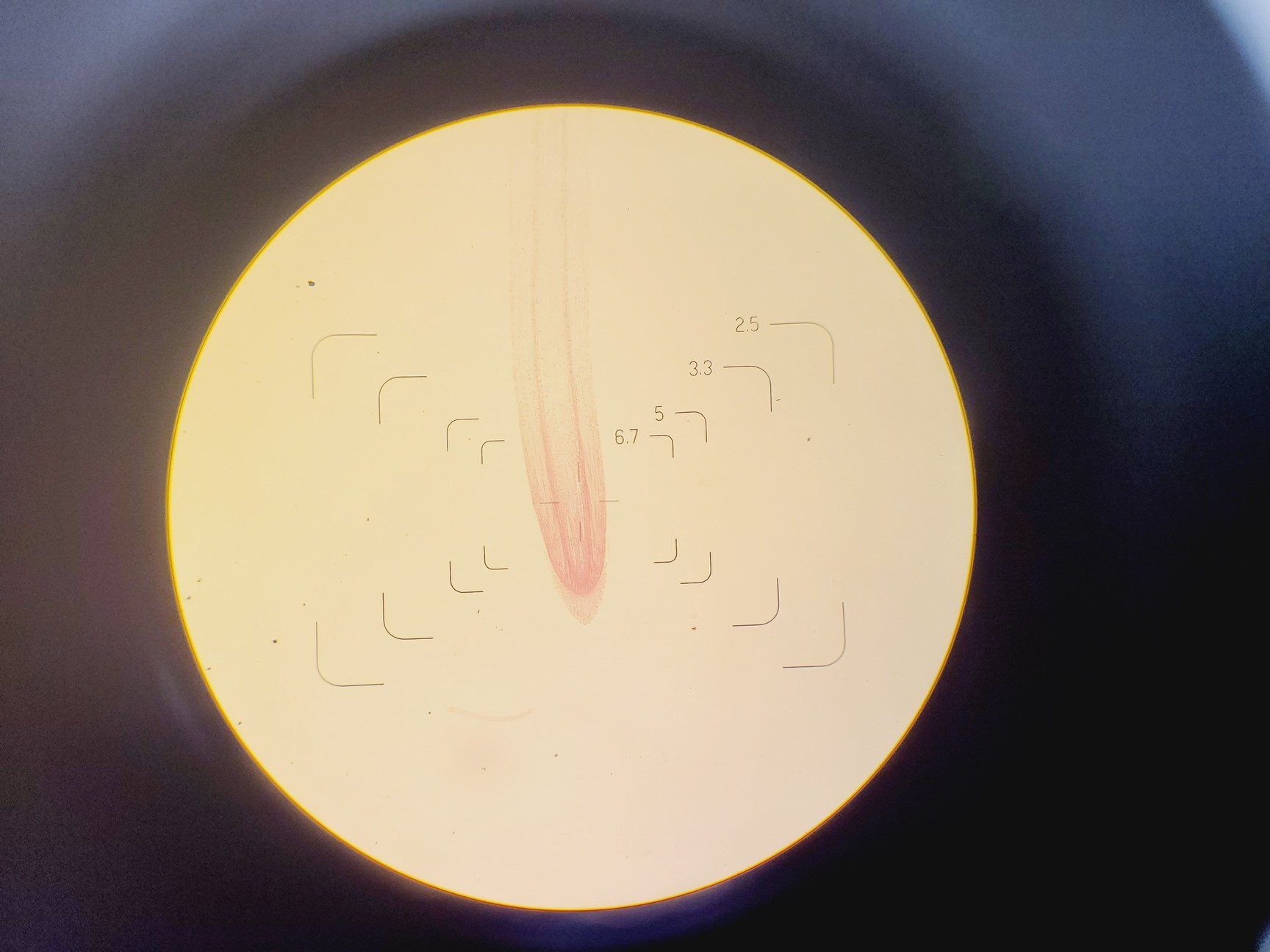 Image of Olympus BH-2 Microscope w/ 6 x Objectives 4/10/20/40/100/FL2 DPlan SPlan