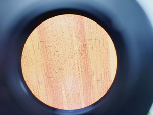 Thumbnail image of Olympus BH-2 Microscope w/ 6 x Objectives 4/10/20/40/100/FL2 DPlan SPlan