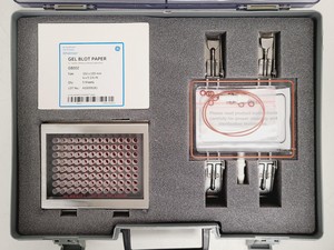 Thumbnail image of GE Healthcare Life Sciences Whatman Minifold I Dot-Blot System