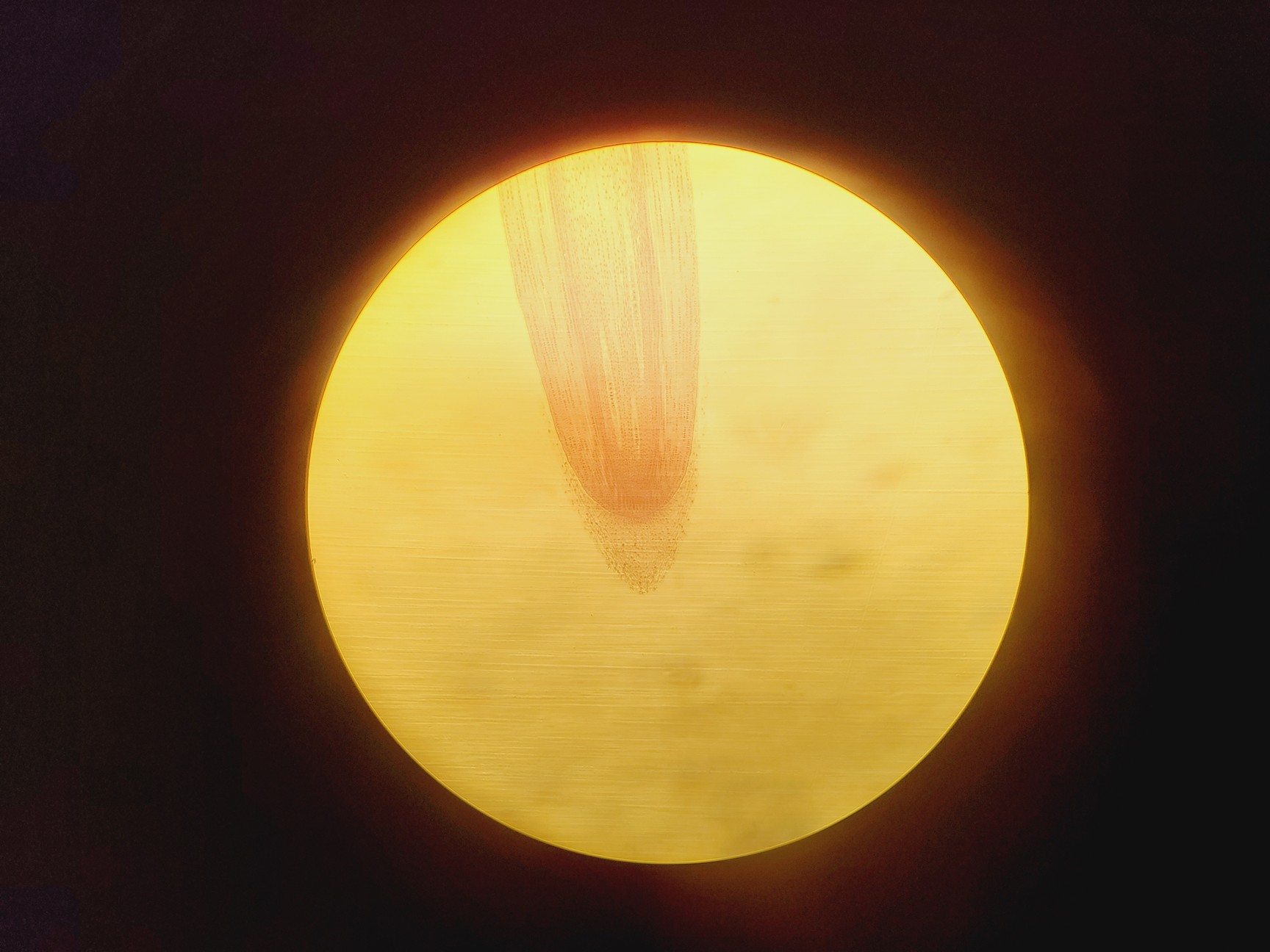 Image of Hampshire Micro Microscope with 5 x Objectives & 2 x Periplan GF 10x Eyepieces