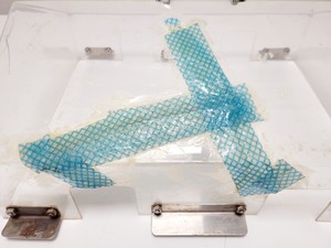 Thumbnail image of New Brunswick Innova 3100 Shaking Water Bath