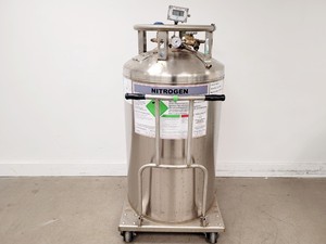 Image of MVE Chart Eurocyl EC230 Liquid Nitrogen Dewar 2021