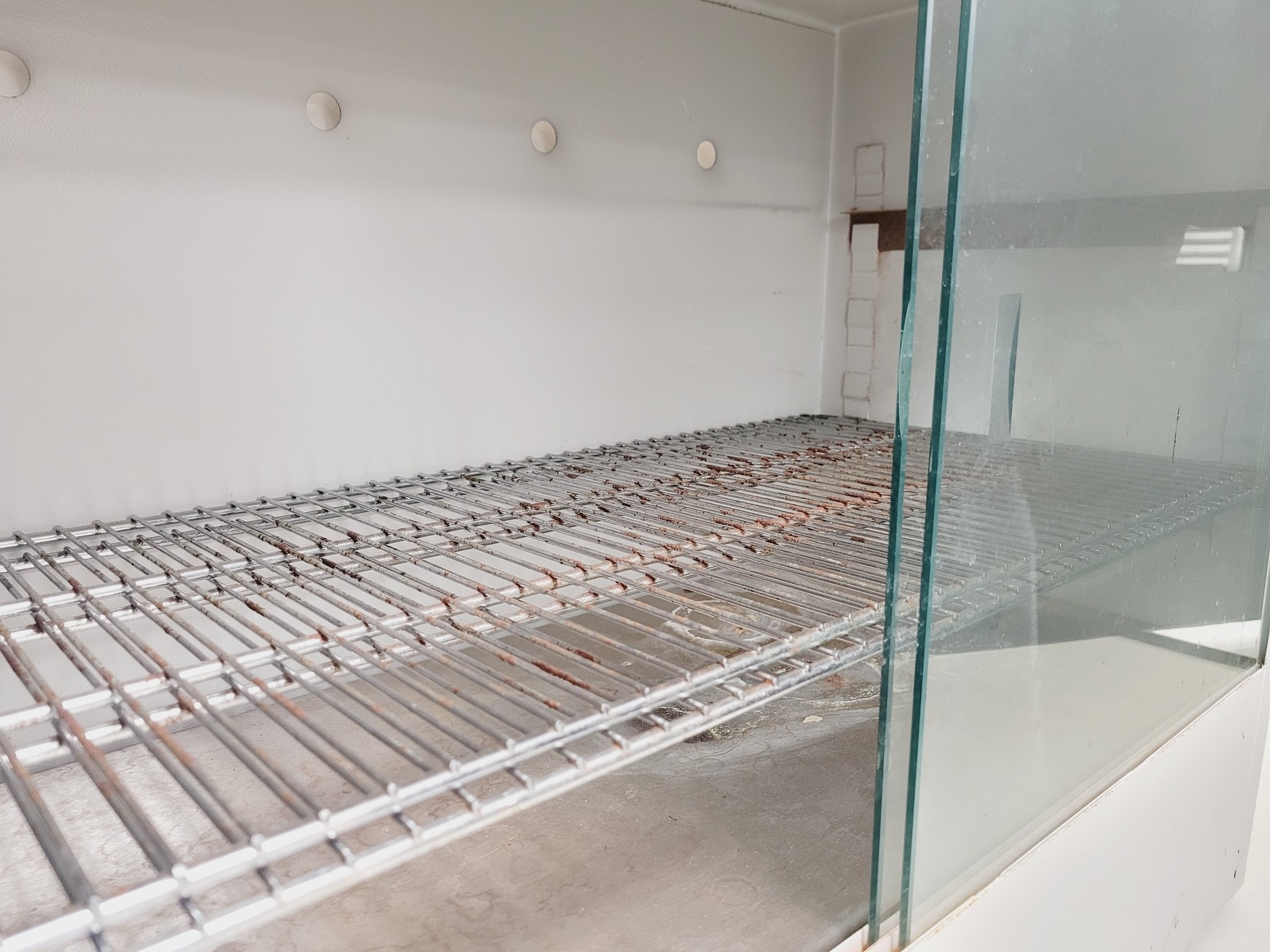 Image of Nickel Electro Ltd Drying oven DC 125