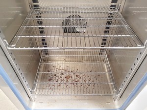 Thumbnail image of Thermo Scientific Heratherm OMH100 Oven