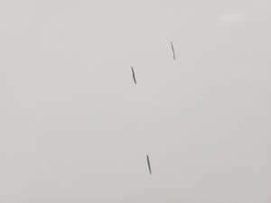 Thumbnail image of Liebherr LGex 3410 Floorstanding Lab Freezer