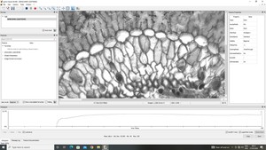 Thumbnail image of Carl Zeiss Axio Observer 7 Inverted Fluorescence Microscope System Lab