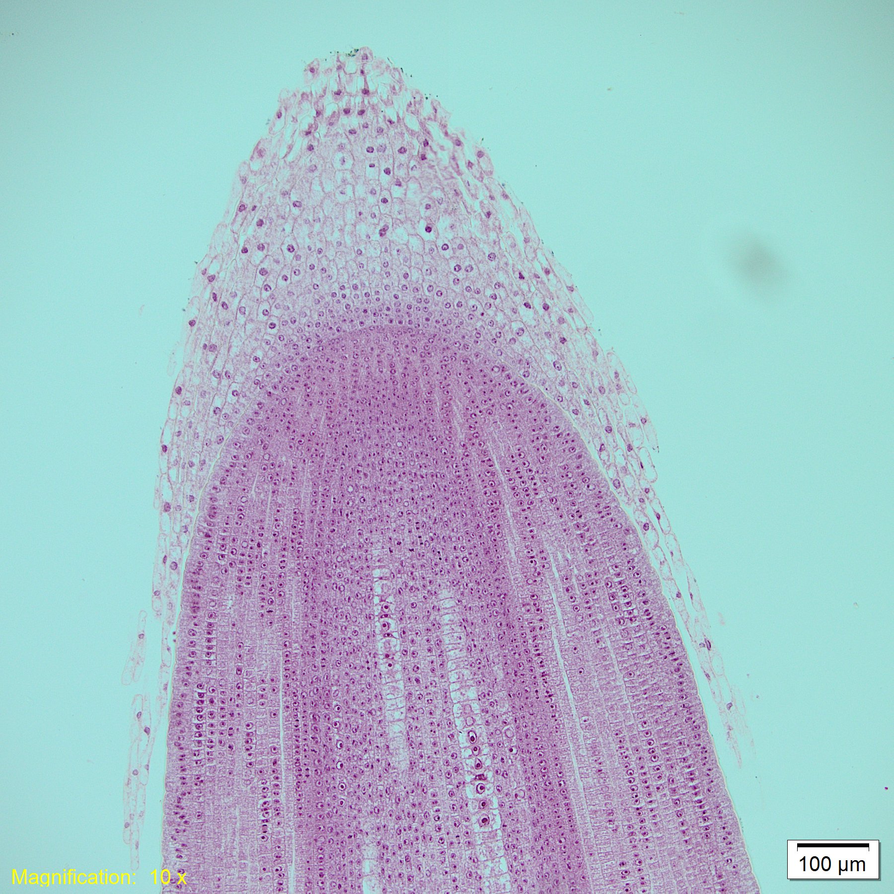 Image of Olympus VS120-L100-W Virtual Slide Scanner Optical Microscope System