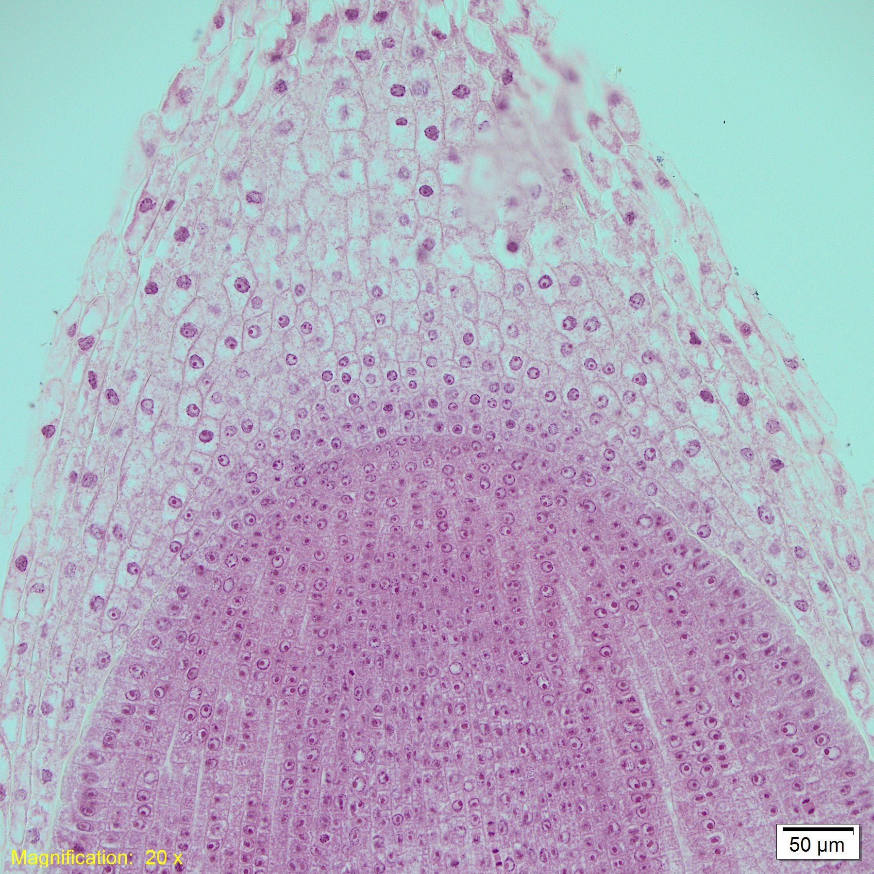 Image of Olympus VS120-L100-W Virtual Slide Scanner Optical Microscope System
