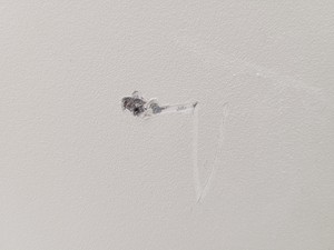 Thumbnail image of Bio-Rad Bio-Plex 200 Luminex System