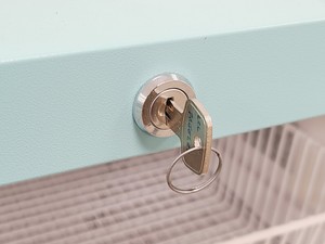 Thumbnail image of Lec Medical LSF151 Freezer