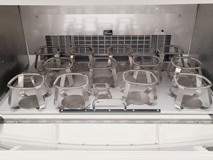 Thumbnail image of Infors HT Triple Stack Multitron Standard Shaking Incubator