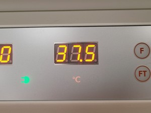 Thumbnail image of Infors HT Triple Stack Multitron Standard Refrigerated Shaking Incubator '23 Lab