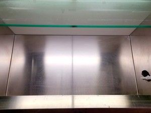 Thumbnail image of Faster BHA 48 Class 2 Biological Safety Cabinet w/ Stand Lab