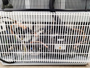 Thumbnail image of Haier Biomedical DW-25L92 Underbench Laboratory Freezer -25C 92L