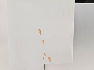 Thumbnail image of Thermo Scientific Dionex UltiMate 3000 System w/ RS Pump, Autosampler, TCC & DAD